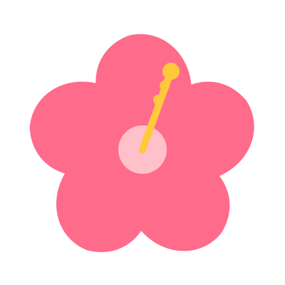 Coral hibiscus flower