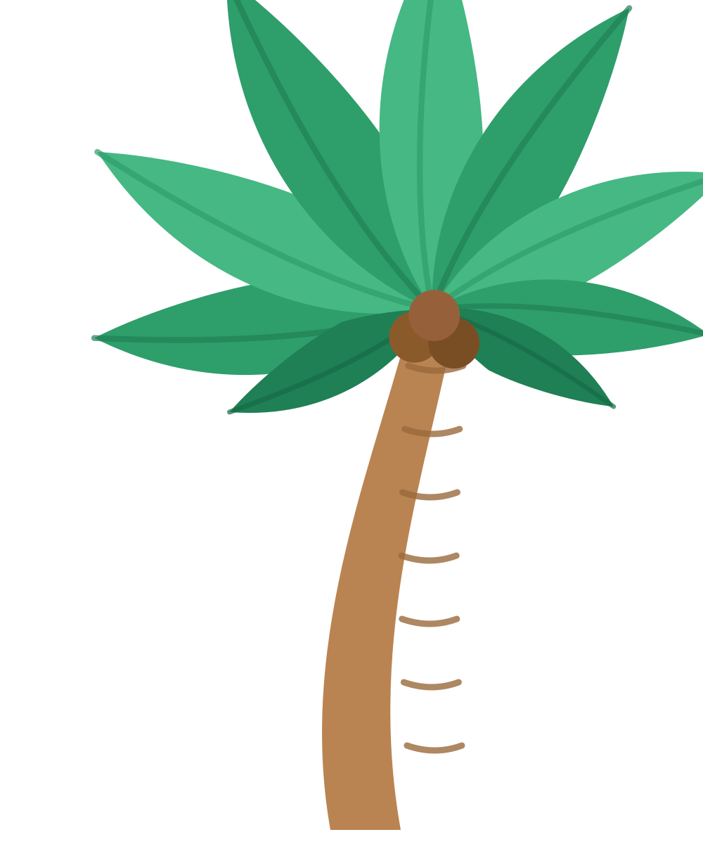 Palm tree illustration