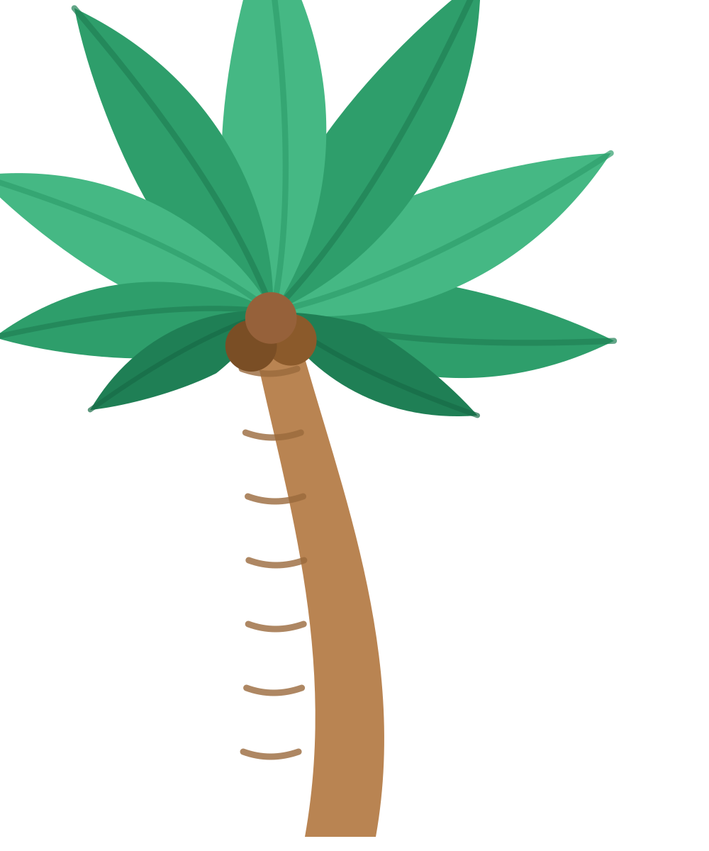 Palm tree illustration