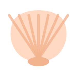 Seashell